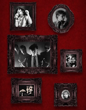 Ce que les cr&eacute;atures de la nuit &eacute;coutent en 2025