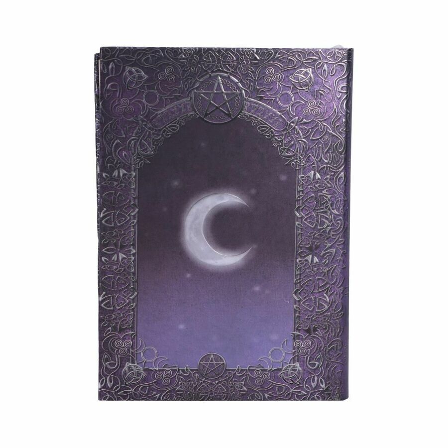 photo n°3 : Journal intime 'witches spells'