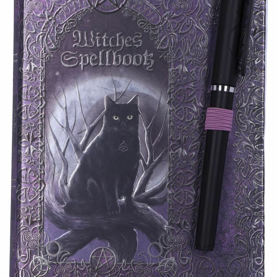 photo n°4 : Journal intime 'witches spells'