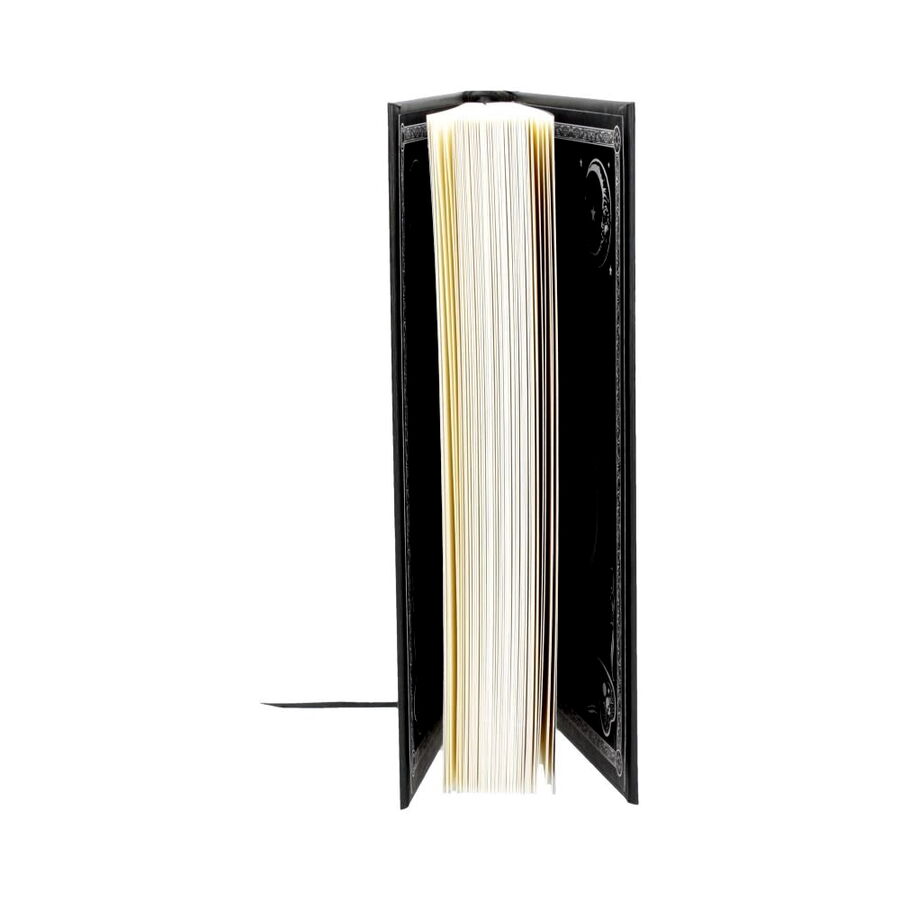 photo n°3 : Journal gothique intime 'spirit bord'
