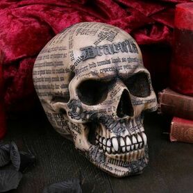 Crâne de vampire 'Draculas'