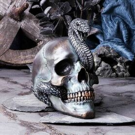 Crâne NEMESIS NOW 'serpentine fate'
