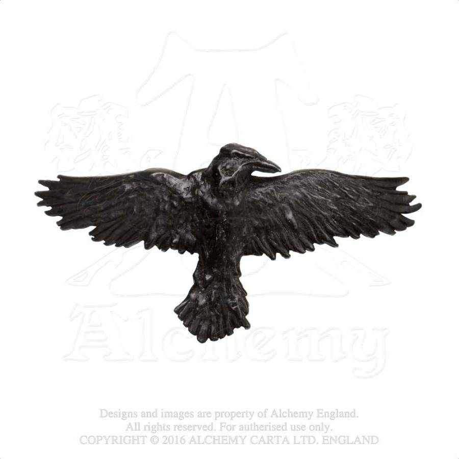 Barrette à cheveux ALCHEMY GOTHIC 'black raven'