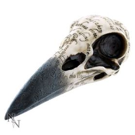 Crâne de corbeau en résine 'Edgard's raven'