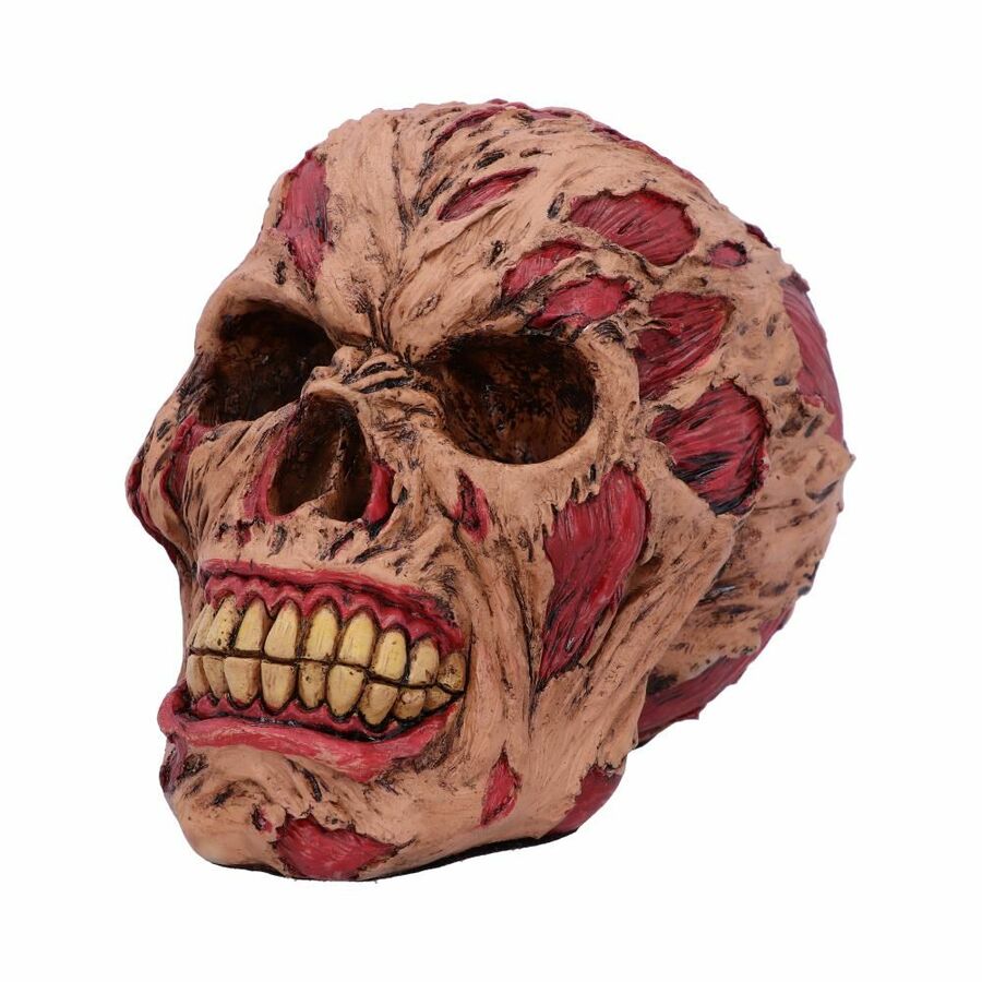 Crâne zombie 'the hoard'