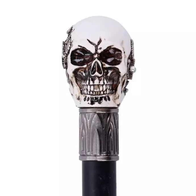photo n°2 : Canne steampunk skull