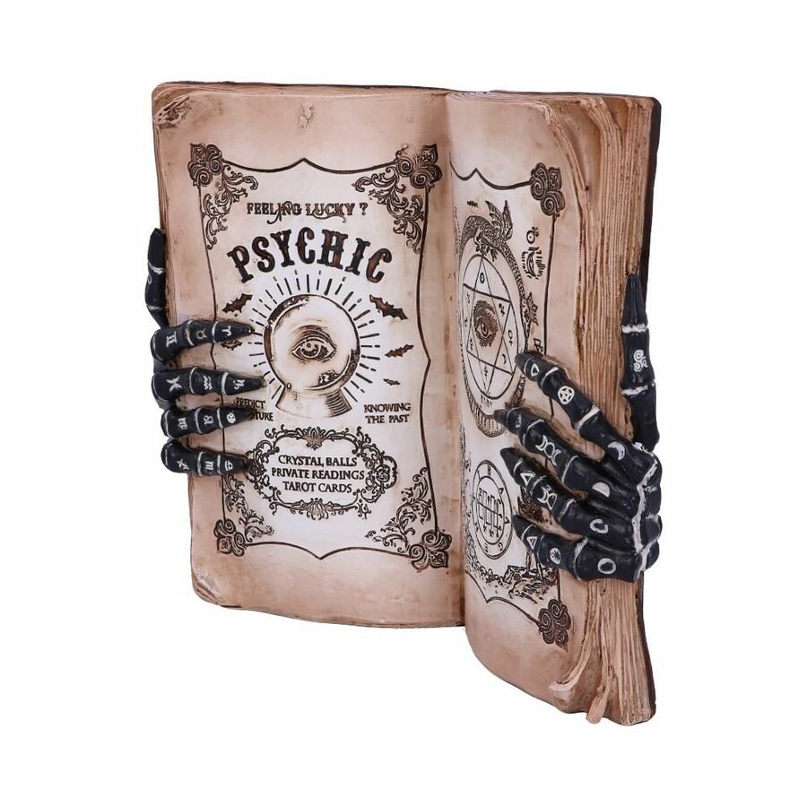 photo n°2 : Figurine grimoire 'psychic compendium'