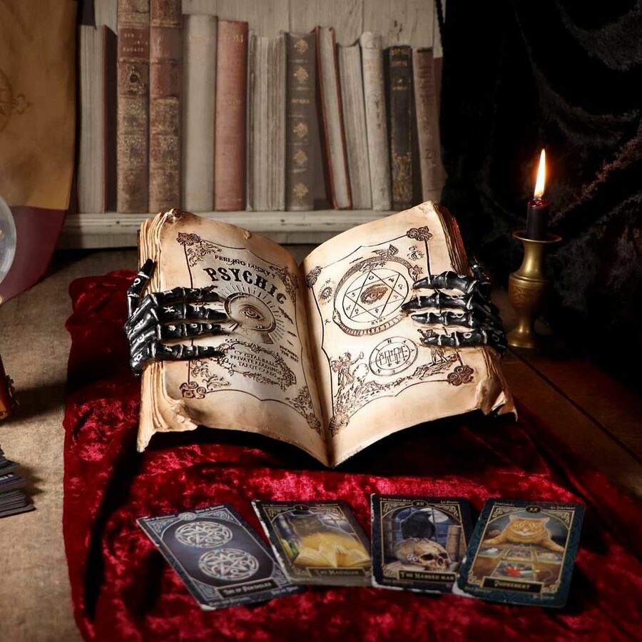 photo n°4 : Figurine grimoire 'psychic compendium'