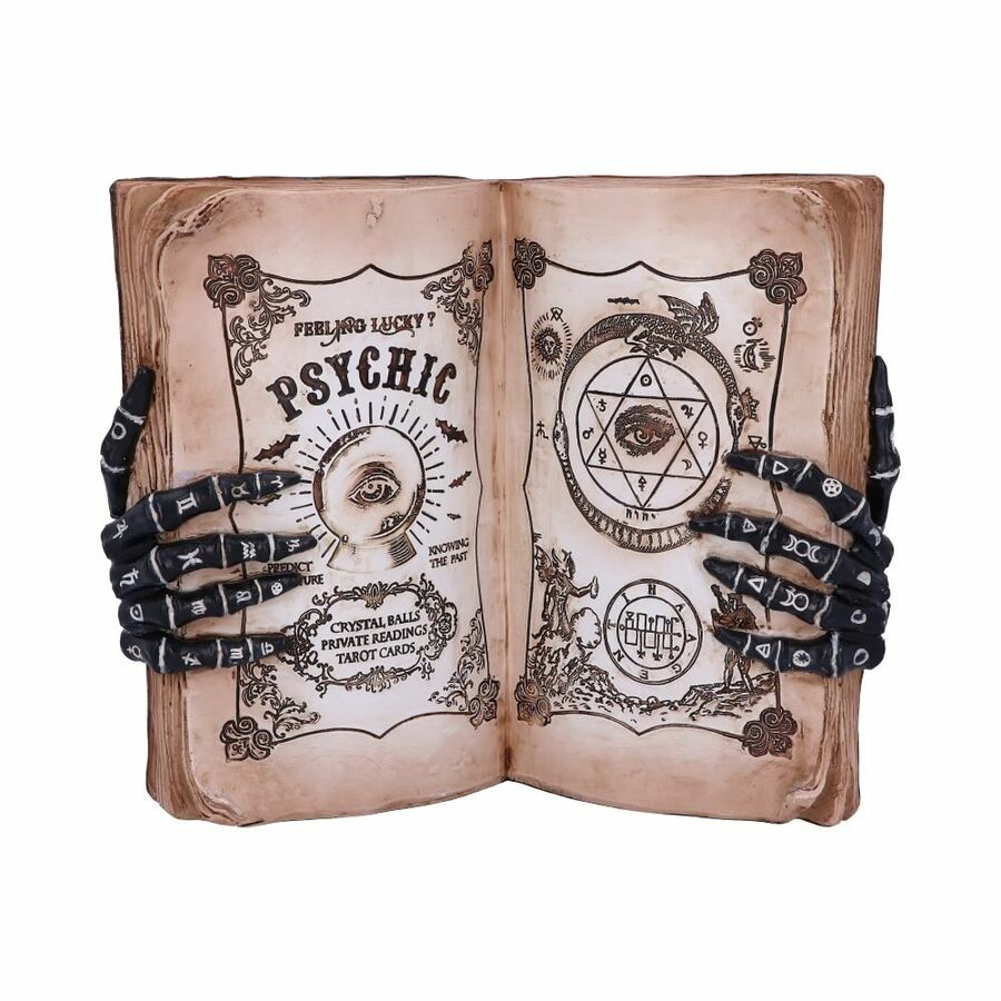 Figurine grimoire 'psychic compendium'