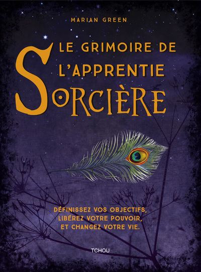 Livre le grimoire de l'apprentie sorcière