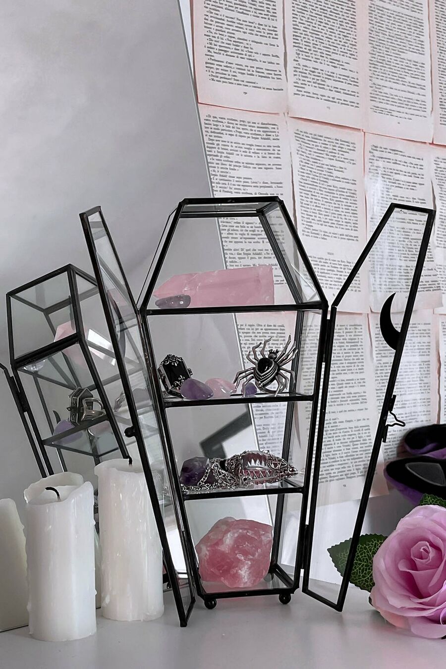 photo n°2 : Vitrine cercueil KILLSTAR 'tomb'