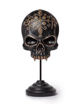 Décoration crâne Voodoo ALCHEMY GOTHIC